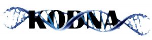 KODNA Business Logo