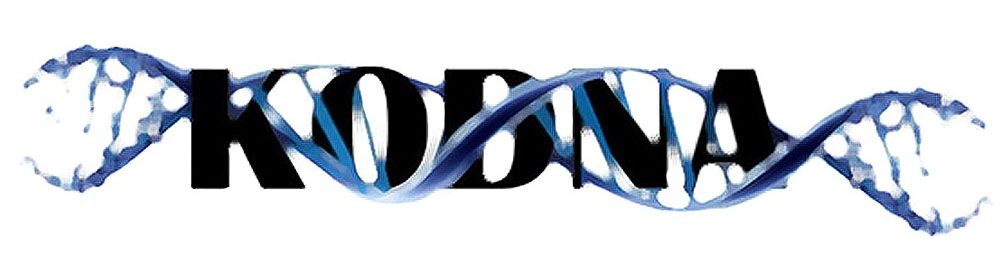 KODNA Business Logo